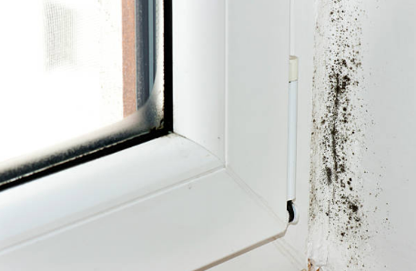 mold on window sill